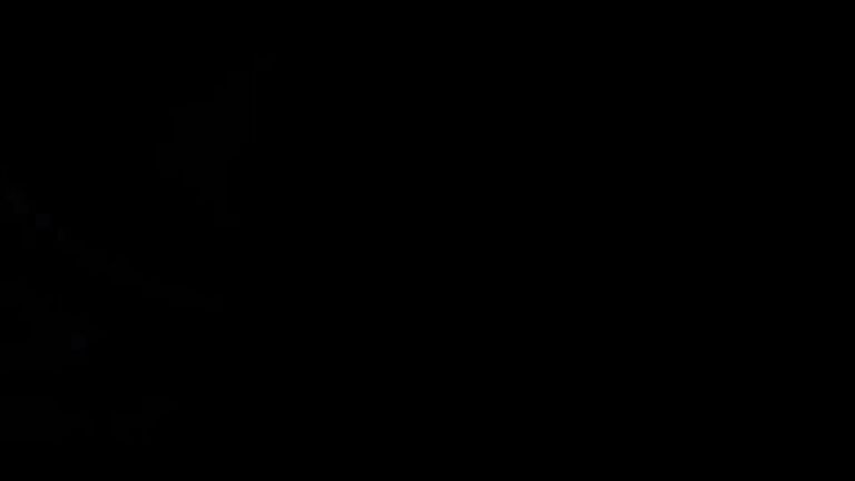 swarovski ادخلي إلى عالمنا