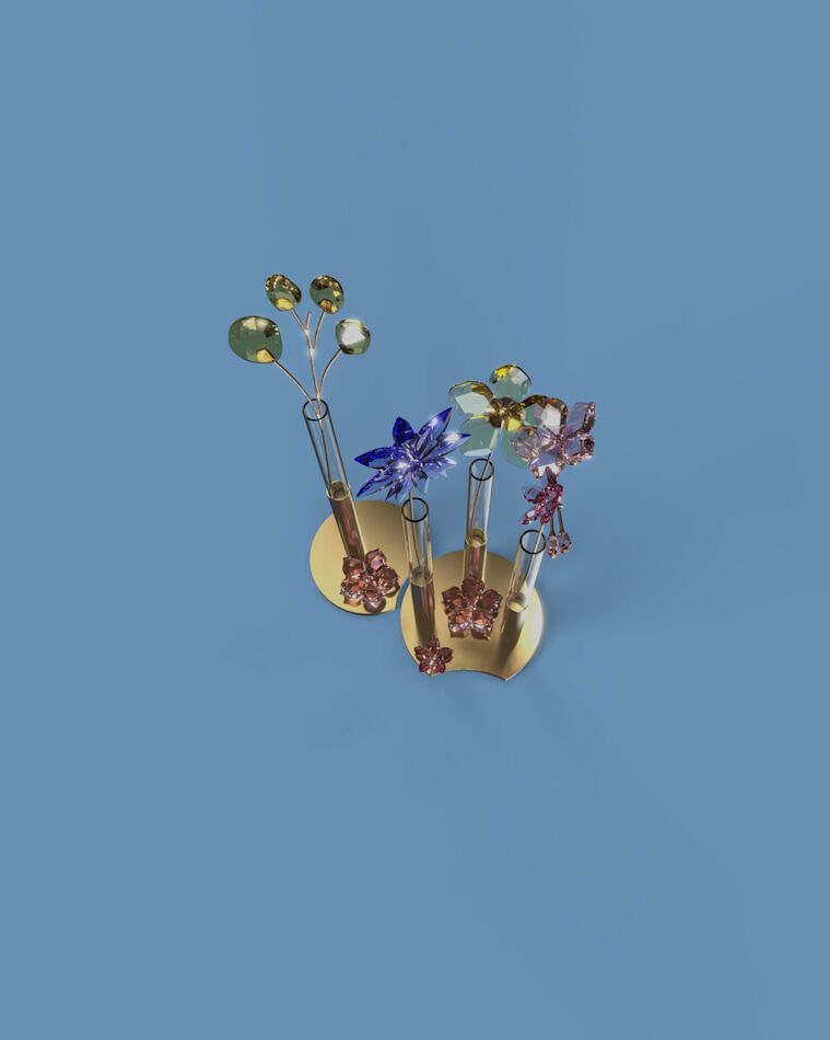 swarovski إلى البرية