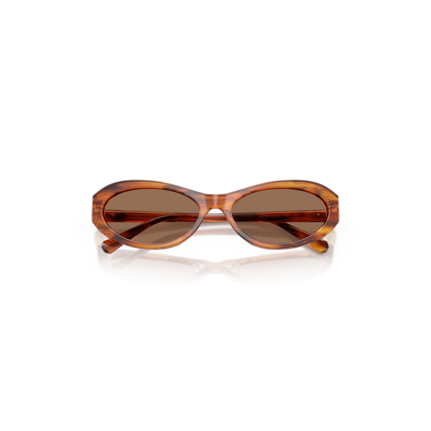swarovski نظارات شمسية، شكل بيضاوي، sk6069، لون هافانا