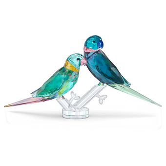 swarovski قطعة زينة fife   fifer بتصميم زوج من ببغاوات الباراكيت من jungle beats