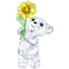 الدب Kris – زهرة دوّار الشمس لك