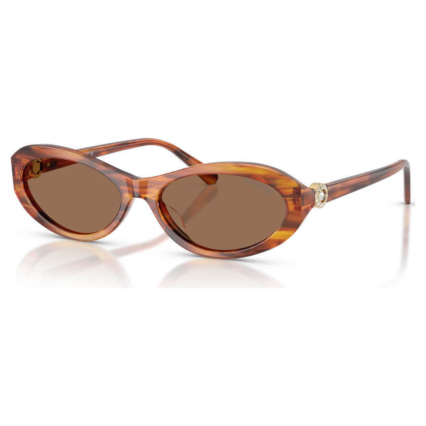 swarovski نظارات شمسية، شكل بيضاوي، sk6069، لون هافانا