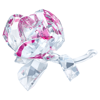 swarovski قطعة زينة in the secret garden على شكل وردة متفتحة
