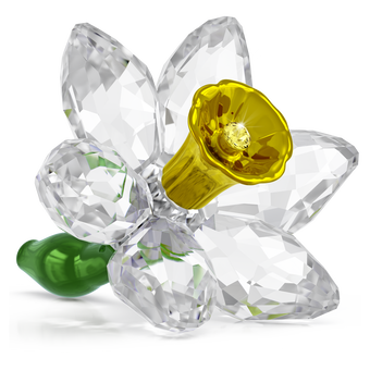 swarovski مجسم زهرة النرجس، مجموعة florere