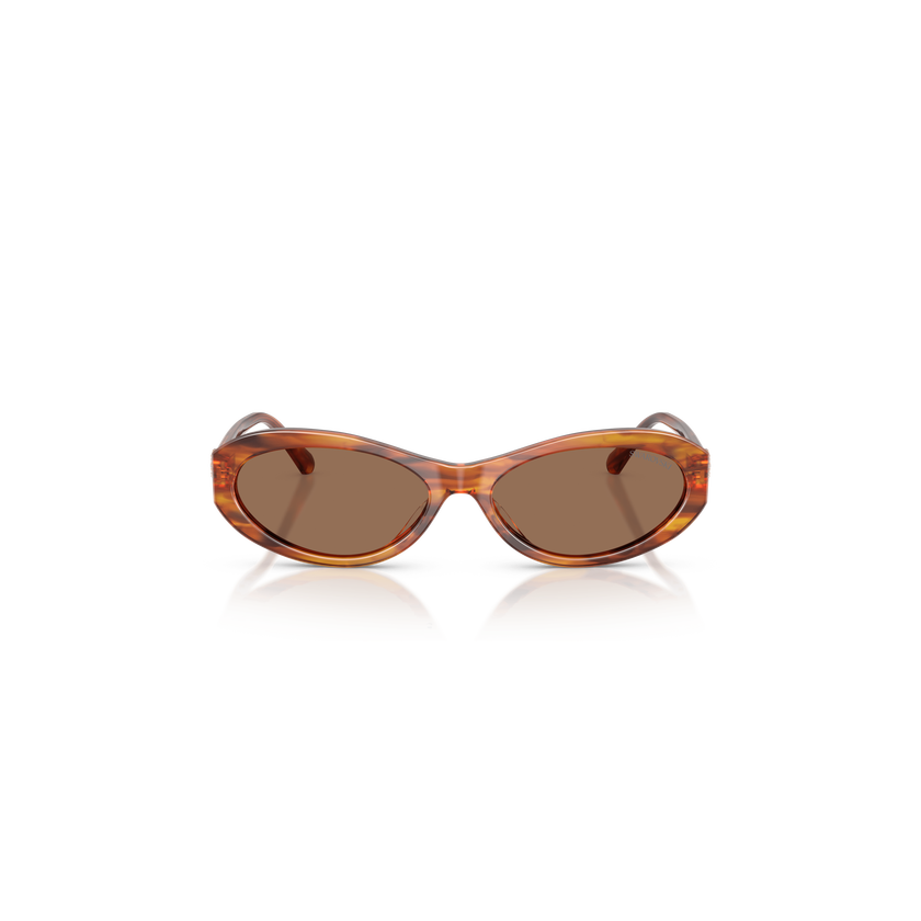 swarovski نظارات شمسية، شكل بيضاوي، sk6069، لون هافانا