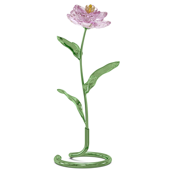 swarovski قطعة زينة على شكل زهرة الفاوانيا من مجموعة florere