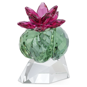 swarovski قطعة زينة bordeaux cactus على شكل صبار، مجموعة crystal flowers