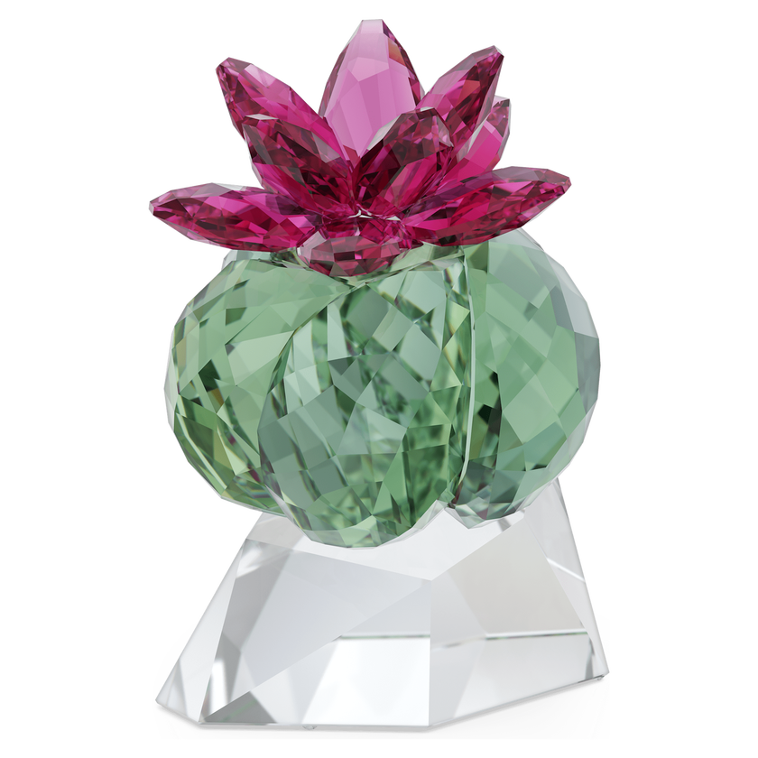 swarovski قطعة زينة bordeaux cactus على شكل صبار، مجموعة crystal flowers