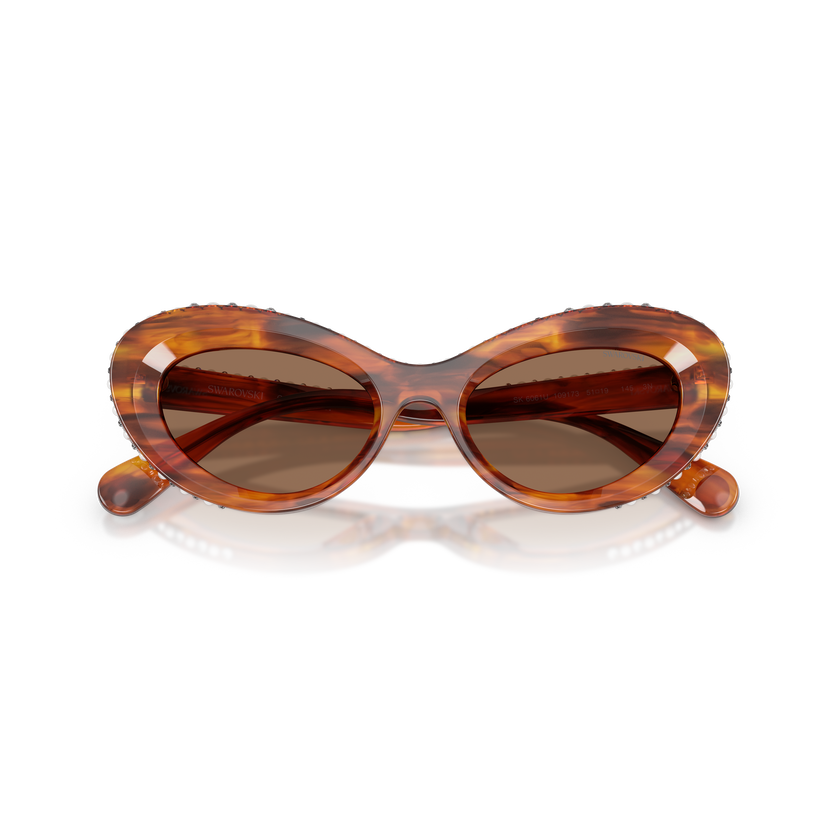 swarovski sunglasses  cat eye shape  sk6061u  brown