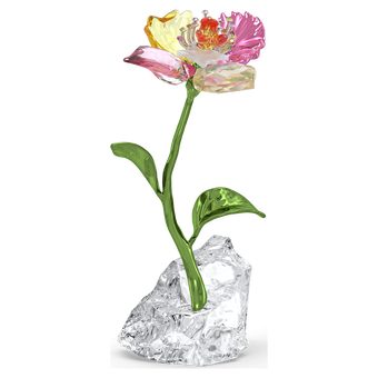 swarovski قطعة زينة على شكل زهرة idyllia، حجم صغير