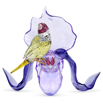 swarovski قطعة زينة على شكل طائر شرشور ذهبي وزهرة أوركيد من مجموعة idyllia