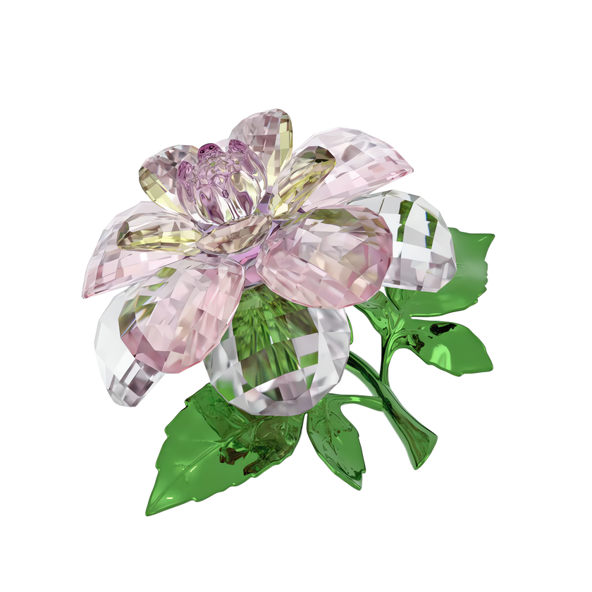 swarovski مجسم زهرة الكاميليا، مجموعة florere