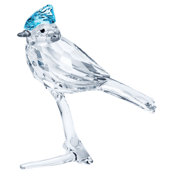 swarovski قطعة زينة feathered beauties على شكل طائر القِيْق الأزرق