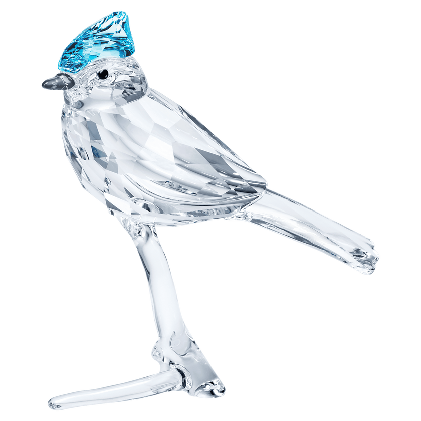 swarovski قطعة زينة feathered beauties على شكل طائر القِيْق الأزرق